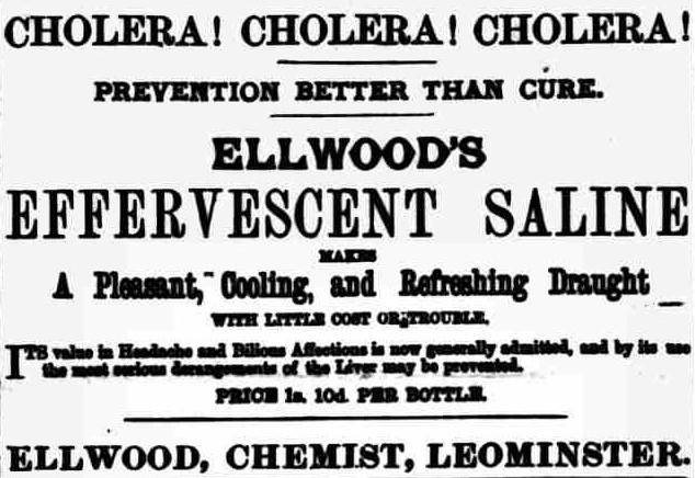 Advert for Ellwoods Effervescent Saline to prevent cholera from 1884